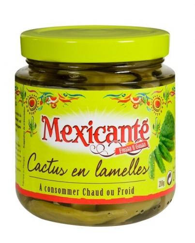 mexisante_cactus_lamelles_fiesta y gusto.jpg