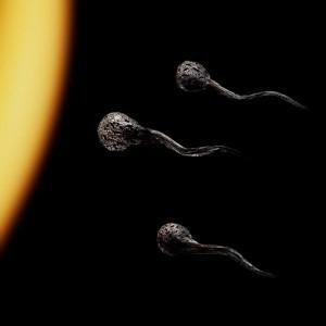 amazing-art-of-burning-matches-014 amazing-art-of-burning-matches-014