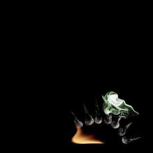 amazing-art-of-burning-matches-008 amazing-art-of-burning-matches-008