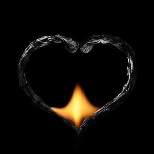 OLYMPUS DIGITAL CAMERA OLYMPUS DIGITAL CAMERA