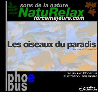 musique sons de la nature oiseaux