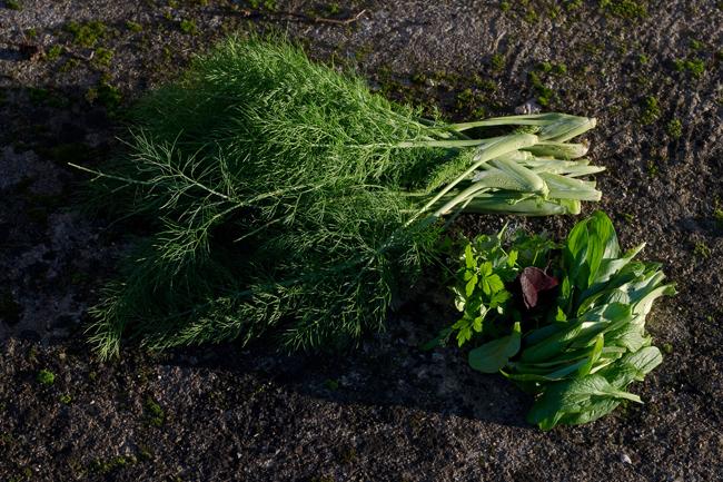 Un hiver à la campagne