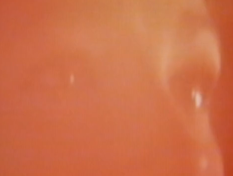 Video : THE CARETAKER - A RELATIONSHIP WITH THE SUBLIME