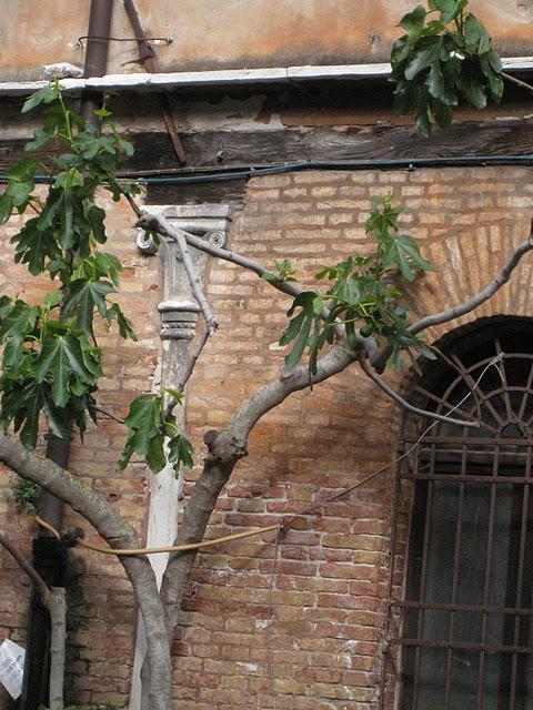 Cloître de San Stefano