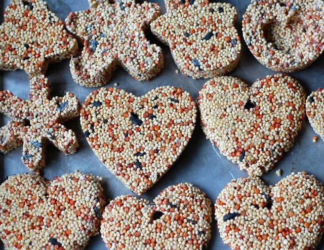 Cadeaux ecolos et ecomomes : graines custumisees pour oiseaux