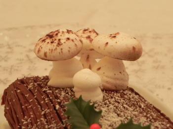 champignons01.jpg