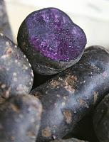 VELOUTÉ DE VITELOTTES