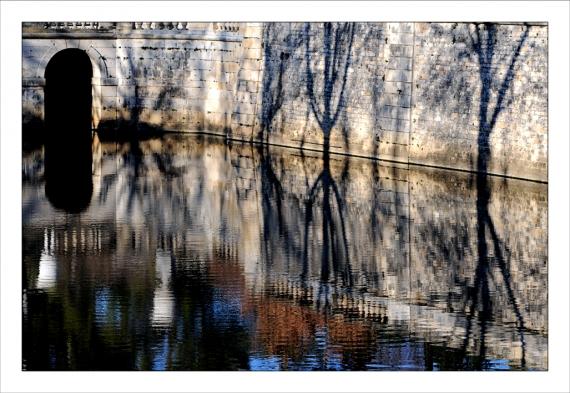 Jardins de la Fontaine, Nîmes, Languedoc, Gard, nature, paysages, jardins publics, nymphée, arbres