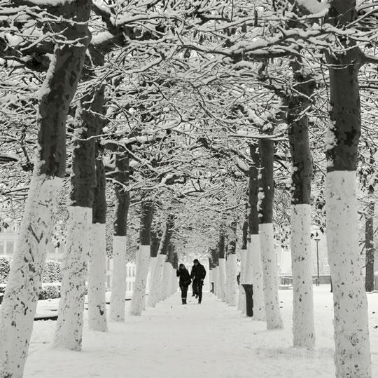 Sélection Darqroom Pixfan #50