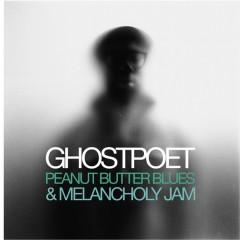 Ghostpoet-peanut-butter-blues-and-melancholy-jams-2011-album-art-cd-cover-artwork.jpg