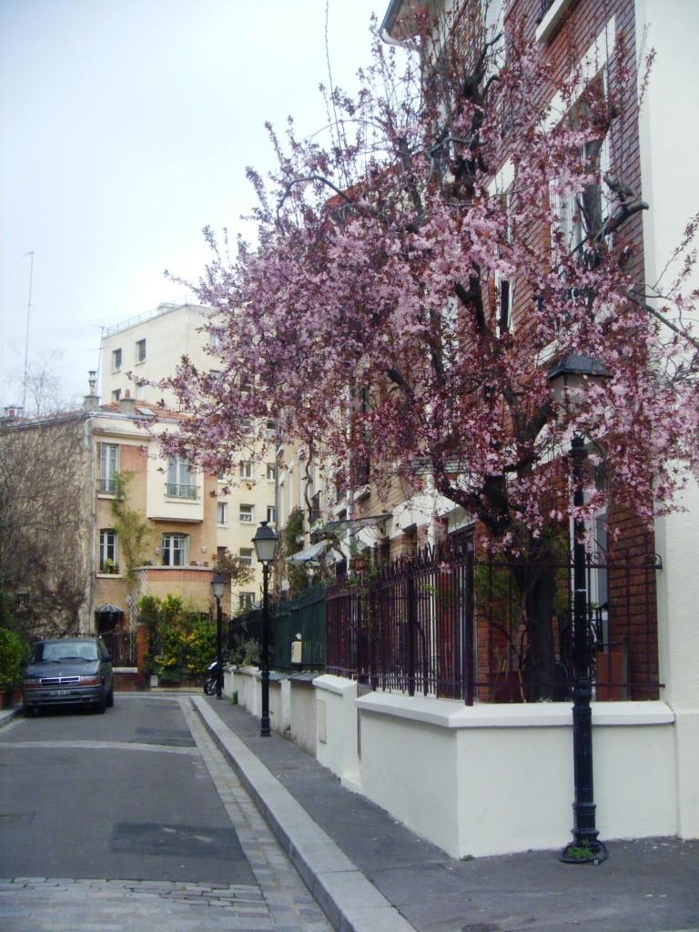 Campagne à Paris : la Cité Florale