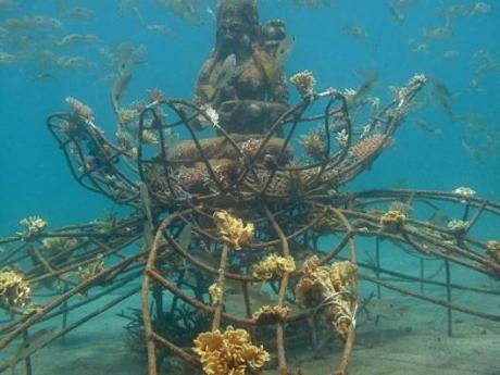 océanie,océans,coraux,environnement,écologie,réchauffement climatique,pêche