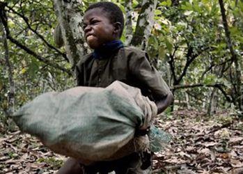 Les enfants esclaves du cacao en Afrique Occidentale