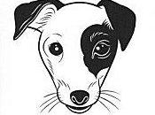 "Best-seller" d'Isabelle Flükiger