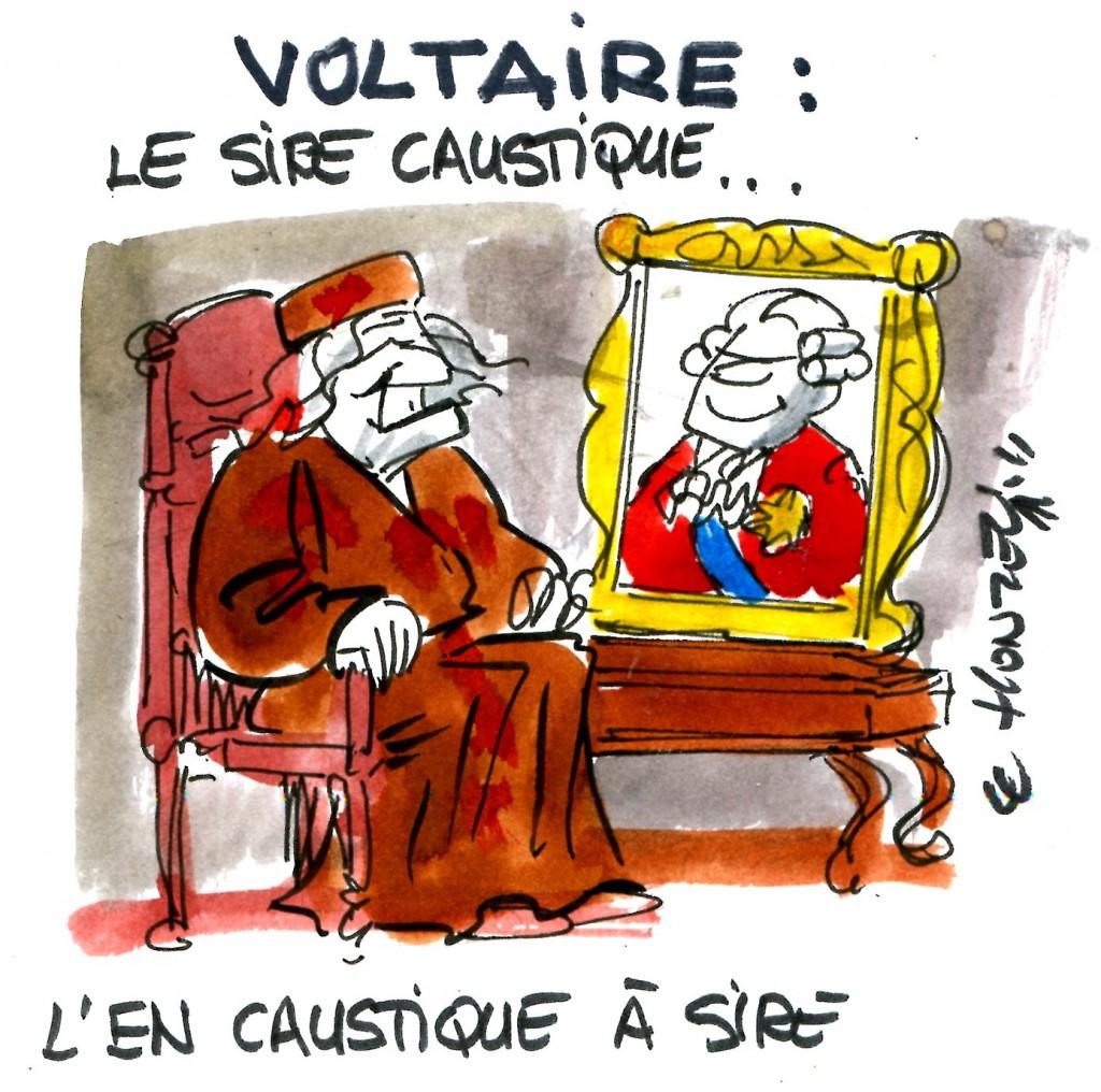 Voltaire et la raison libérée de la religion