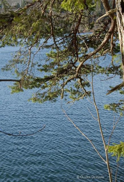 Escapade au lac Pavin : l'épouvantable