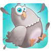 Pigeon, pigeon plus stupide dispo Gratuitement l’App Store