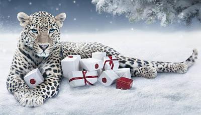 Cartier Conte de Noël