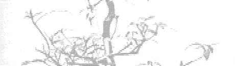 Ascgen2 : Faire de l’art graphique avec du code ASCII