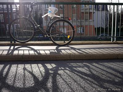 CYCLE - Projet photo 52 (semaine #52)