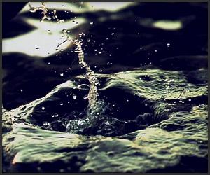 Court métrage :  High Speed Reel 2011