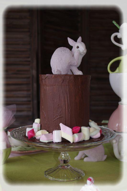 alice 015_modifié-1