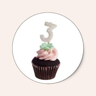 mini_cupcake_with_birthday_candle_for_three_year_o_sticker-p217779840164125003wt1ru_315.jpg