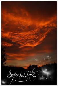 Bonne fin d’année !