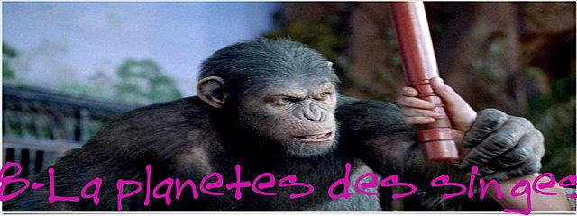 la-planete-des-singes-les-origines.jpg