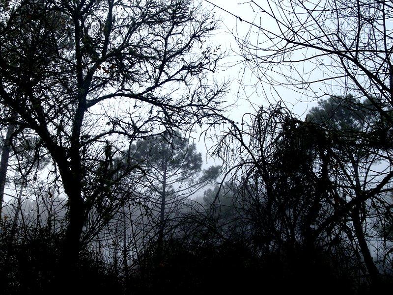 Christmas Week end Observations