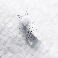 Best of décembre 2011