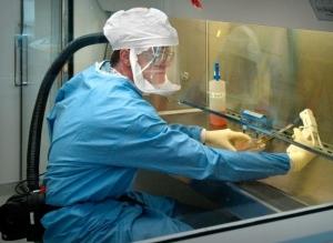 GRIPPE AVIAIRE: L’OMS met en garde contre le supervirus H5N1 – OMS