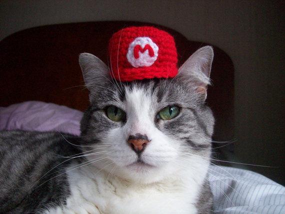 chapeaux super mario geek gnd chat Des chapeaux super mario bros pour votre chat humour 2 geek gnd geekndev