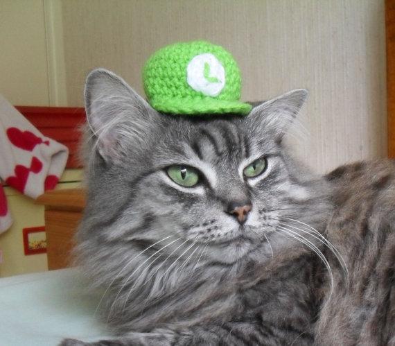 chapeau luigi mario chat geek gnd Des chapeaux super mario bros pour votre chat humour 2 geek gnd geekndev