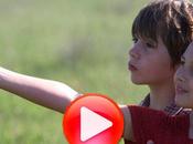 Champs....conte poétique!