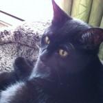 Décembre { Instagr.am }