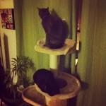 Décembre { Instagr.am }