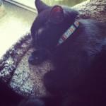 Décembre { Instagr.am }