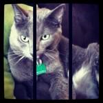 Décembre { Instagr.am }