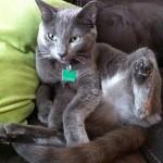 Décembre { Instagr.am }