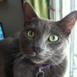 Décembre { Instagr.am }