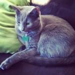 Décembre { Instagr.am }