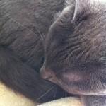 Décembre { Instagr.am }