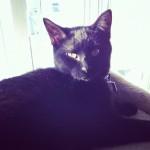 Décembre { Instagr.am }