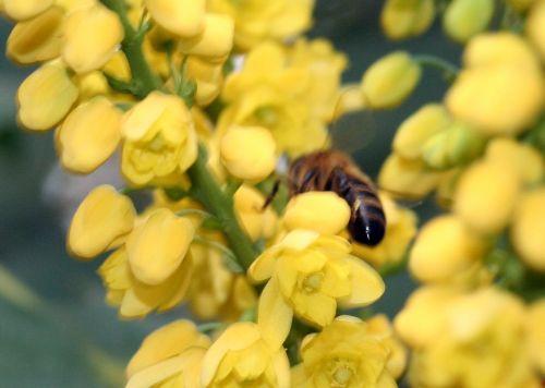 charity 16 nov 009.jpg