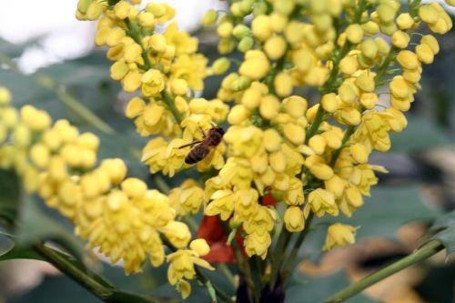 charity 16 nov 008.jpg