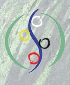 logo ISO 26000