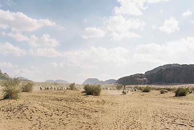 Jordanie (3): le désert de Wadi Musa