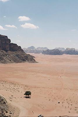 Jordanie (3): le désert de Wadi Musa