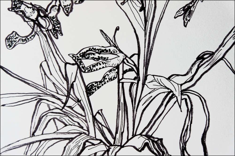 carnet de croquis 12